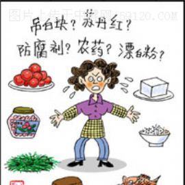 食品安全红灯频闪 2006年中国人餐桌不平静