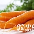 方便又廉价的护肺：多吃胡萝卜