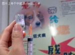被猫狗咬伤后应该如何紧急处理较好