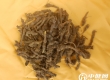 治疗肛窦炎偏方（一）