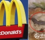 美国麦当劳鸡肉三明治中惊现蚯蚓 吓坏顾客