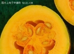 男人多吃南瓜子可保护前列腺心血管