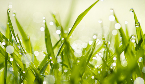 [第014期]雨水节气：乍暖还寒咋保健