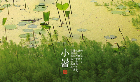 [第107期]小暑节气，养生要过好五关