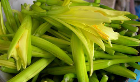 [第151期]能治病的菜系列之十——黄花菜