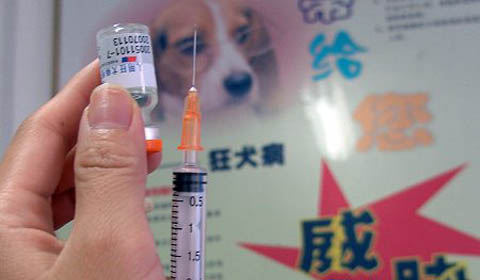 [第179期]共同努力&nbsp;使狂犬病成为历史