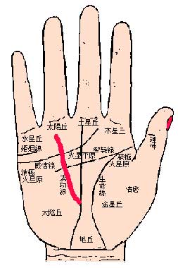 长啥手相可能变有钱人