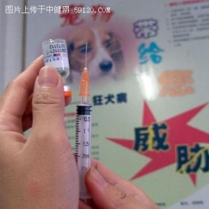 被猫狗咬伤后应该如何紧急处理较好