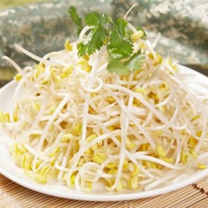 春天多吃黄豆芽防动脉硬化