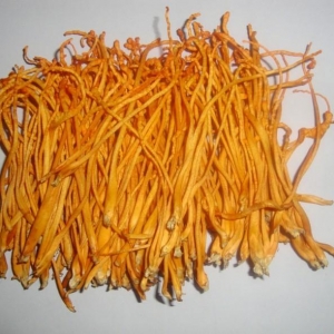 四个古代壮阳食疗药膳验方