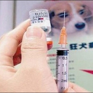 狂犬病的急救指导原则