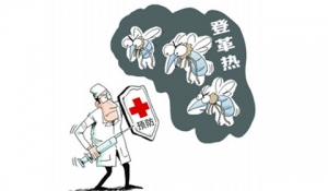 [第478期]登革热，十一出游需注意