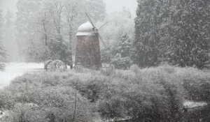 [第571期]冬季不下雪 危害有多大