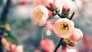 乍暖还寒 立春时节尝鲜正当时
