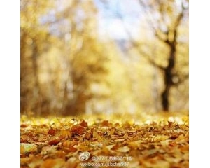 老人如何正确面对生老病死问题？