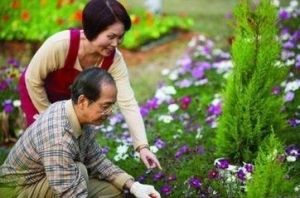 陶冶情趣 老人闲时养花好选择