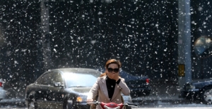 [第632期]四月飞"雪" 过敏体质要注意