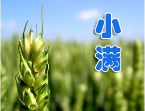 [第668期]小满时节话养生