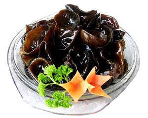 [第754期]久泡木耳致中毒  饮食要谨慎