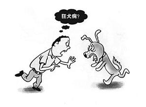 [第852期]宠物也秋燥，需谨防狂犬病