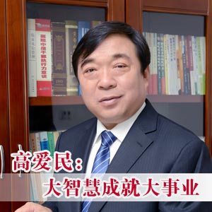 高爱民：大智慧成就大事业