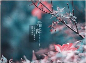 [第914期]霜降节气,想好好过冬看过来