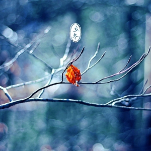 [第926期]立冬节气,该睡懒觉吗?