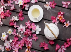 [第1033期]花茶也属中药,不可随意饮用