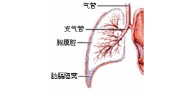 应该明白肺癌介入治疗方法
