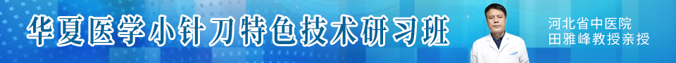小针刀研习班