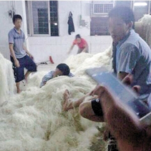 东莞米粉厂实拍 工人赤脚踩随地堆放的米粉