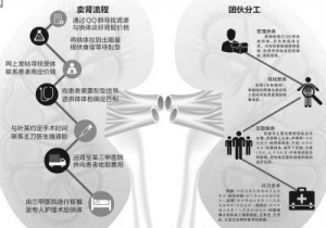 全国最大**案终审宣判：贩肾51枚15人获刑