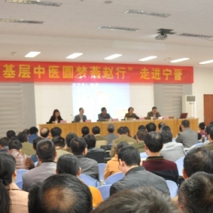 “基层中医圆梦燕赵行”走进凤凰城邢台宁晋