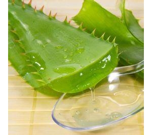 揭秘芦荟胶7大“花样玩法”，帮我们全面护肤