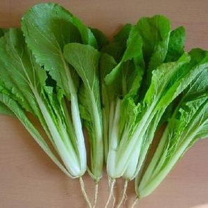 秋冬季节 十大最滋补食物