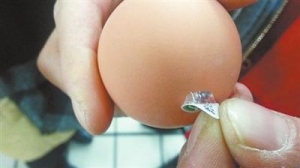 教您辨别无公害食品：标识背面有专用防伪码