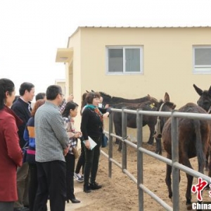 专家：提高中药师中药学专业素质已迫在眉睫