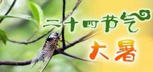 [第784期]大暑来临话养生