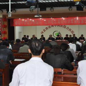 “基层中医圆梦燕赵行”沧州地区圆满收官