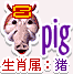 十二生肖的属性—猪