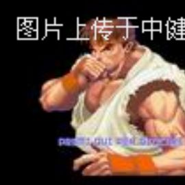 动作游戏：街头霸王II