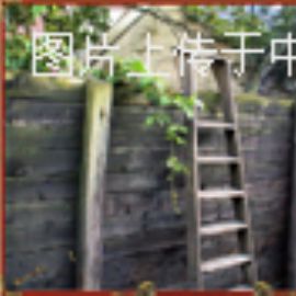 益智游戏：家里脱险