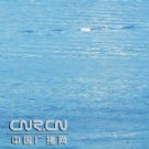 新疆赛里木湖发现10米长不明水生物(图)