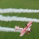 英国新人高空结婚 站在机翼上举行婚礼(图)