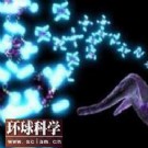 科学家揭秘微小纤毛在大脑中有着重要作用