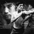 《李小龙传奇》热播 制作“山寨”大旗再飘扬
