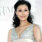 "未婚"李嘉欣最后亮相谈婚事 许晋亨下跪求婚