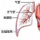 应该明白肺癌介入治疗方法