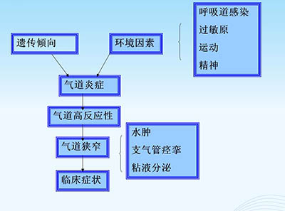 [第1232期]找准原因用对方法 让哮喘远离我们