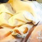 6岁女童为向母亲证明没偷5角钱 砍断小拇指
